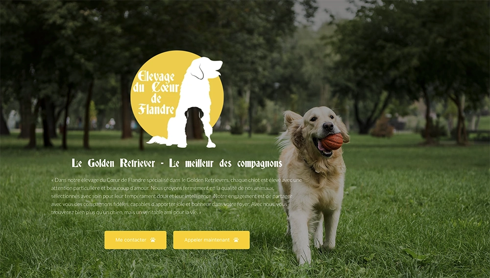 Mise en ligne du site elevageducoeurdeflandre