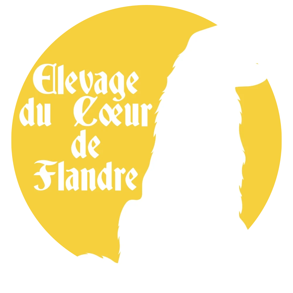 Logo élevage du coeur de Flandre spécialisé dans le Golden Retriever