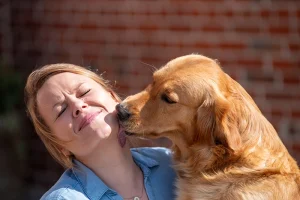 Toscane femme reproductrice de golden retriever qui embrasse son éleveuse Julie